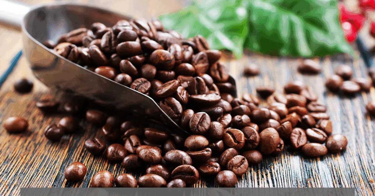 Kaffe - livestream fra Aarhus Universitet